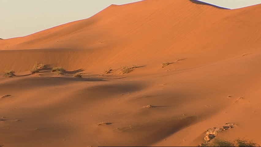 Desert sand dune