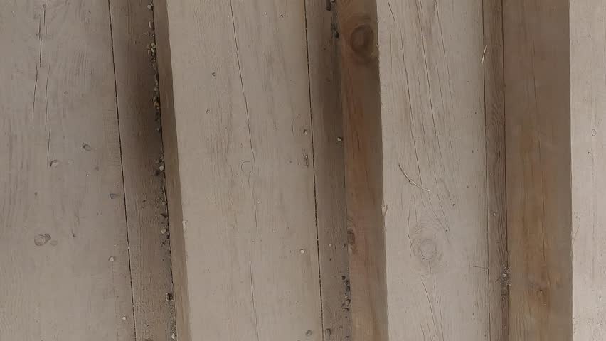 A male photographer with a camera takes a photo on a summer day, exploring the ancient city.