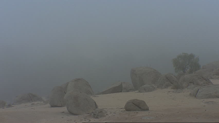 Misty sand dune