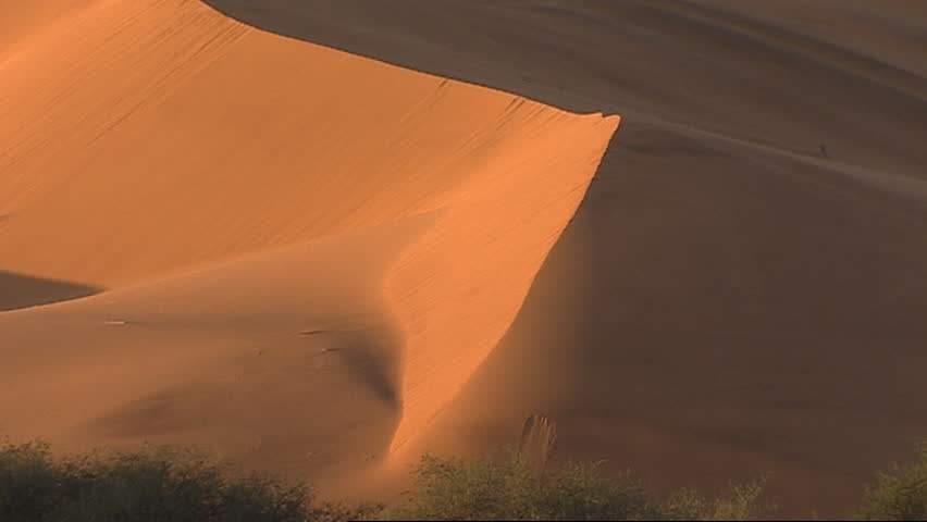 Desert sand dune
