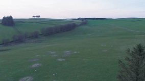 Aerial view of serene countryside with murder of crows, Chesters, Scotland. - Powered by Shutterstock - Get 15% off with code: PIKWIZARD15