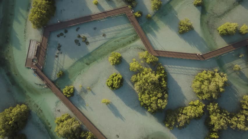 Aerial view of Jubail Mangrove with wooden path and lush greenery, Abu Dhabi, United Arab Emirates.