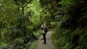 Girl Bird Watching with binoculars in a rain forest of New Zealand - Powered by Shutterstock - Get 15% off with code: PIKWIZARD15