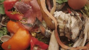 Organic kitchen waste, vegetable peels and fruit scraps, moldy stale bread close up. Food loss and food waste. Left-over organic matter from restaurants, hotels and households. - Powered by Shutterstock - Get 15% off with code: PIKWIZARD15