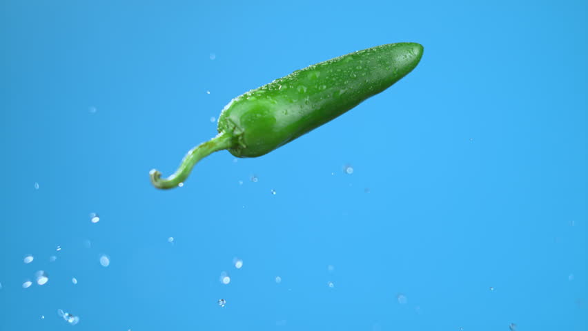 Single green jalapeno chili pepper mid-air flying with water droplets. Fresh cooking ingredient. High quality cinematic studio commercial super slow motion 1000fps fresh pepper moving up and down. - Powered by Shutterstock - Get 15% off with code: PIKWIZARD15