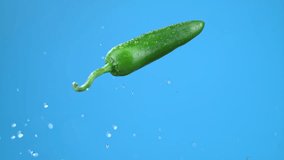 Single green jalapeno chili pepper mid-air flying with water droplets. Fresh cooking ingredient. High quality cinematic studio commercial super slow motion 1000fps fresh pepper moving up and down. - Powered by Shutterstock - Get 15% off with code: PIKWIZARD15