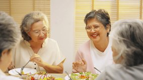 Group of Happy Asian senior women having dinner together at home. Elderly retired woman friends enjoy indoor lifestyle meeting party eating healthy food and vegetables salad together on dining table. - Powered by Shutterstock - Get 15% off with code: PIKWIZARD15