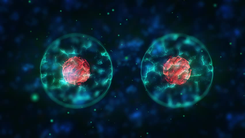 Medical, microscope cell division or science for research in mitosis, growth or duplicate. Biotechnology, innovation or bacteria evolution in binary fission for medicine development or microbiology - Powered by Shutterstock - Get 15% off with code: PIKWIZARD15