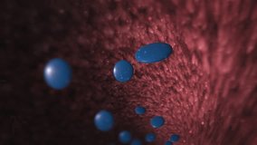 Medicine, body and digestion system in stomach graphic with tablet, antibiotics pills and prescription. Anatomy, endoscopy and medical procedure for organ and scope for wellness and health drug - Powered by Shutterstock - Get 15% off with code: PIKWIZARD15