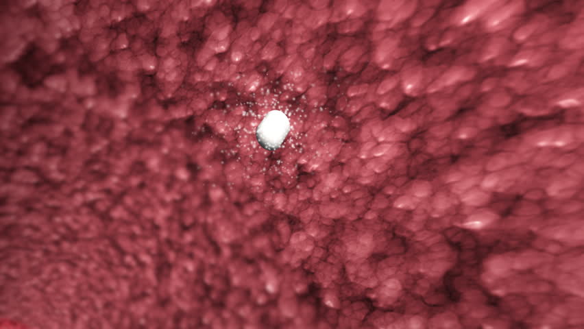 Pills, body and break down in stomach graphic with medication tablet, antibiotics and prescription. Anatomy, endoscopy and medical procedure for organ checking and scope for wellness and health drug