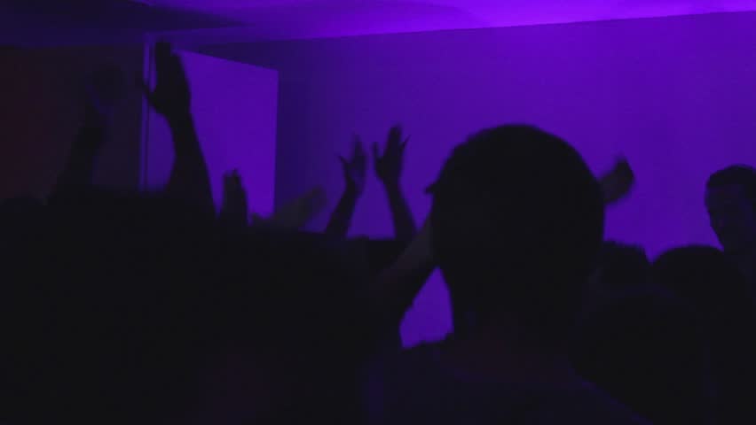 Crowd in the nightclub waving hands, dancing
