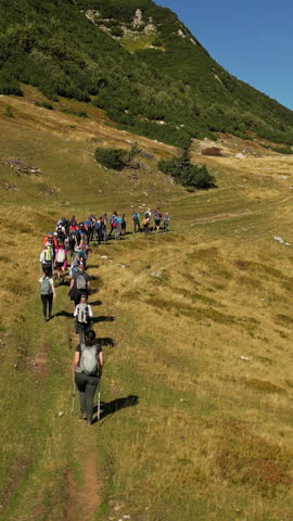 Vertical Screen: Aerial Shot of a Group of Backpackers Hiking on a Trail Path. Concept of healthy lifestyle, vacation activity, recreational pursuit, backpacking, trekking, hobby