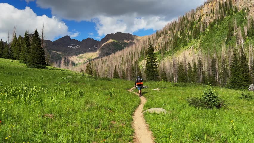 Hiker backpacker mountaineer Needle Creek trail Colorado Chicago Basin Windom Sunlight Peak Mount North Eulos Silverton San Juan Rocky Mountains Range fourteener camping outdoors range sunny