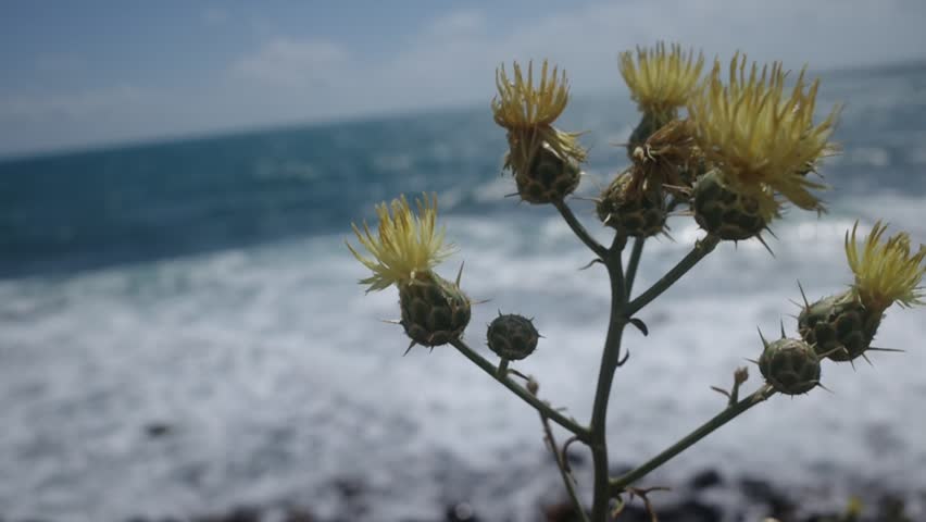 Cinque Terre