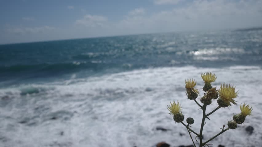 Cinque Terre