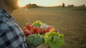 Close up Caucasian bearded male man guy farmer carrying holding box fresh organic vegetables walk outdoors countryside rural field sunset. Agriculture business farming harvesting natural healthy food - Powered by Shutterstock - Get 15% off with code: PIKWIZARD15