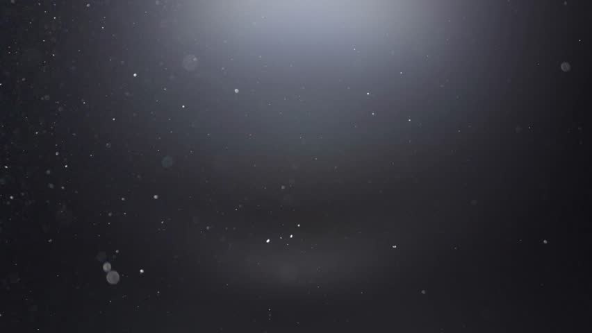 Shutterstock Video