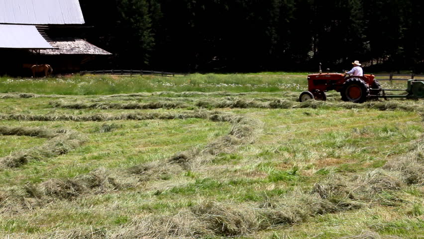 Cutting hay grass in a field Montana