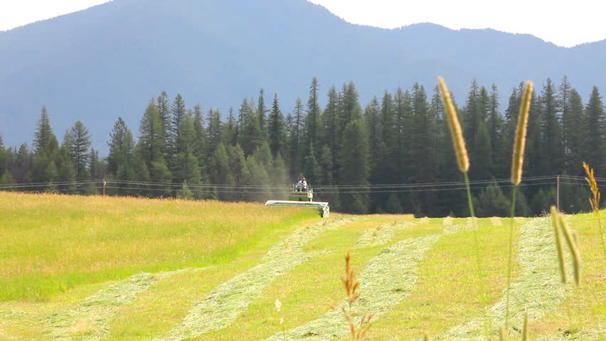 Cutting hay grass in a large field Montana