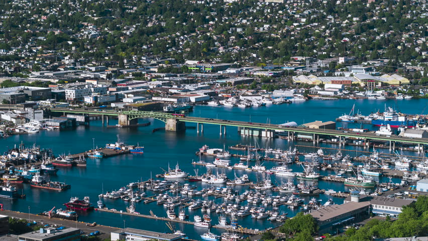 Establishing Aerial View Shot of Seattle suburbs WA, Washington USA, day