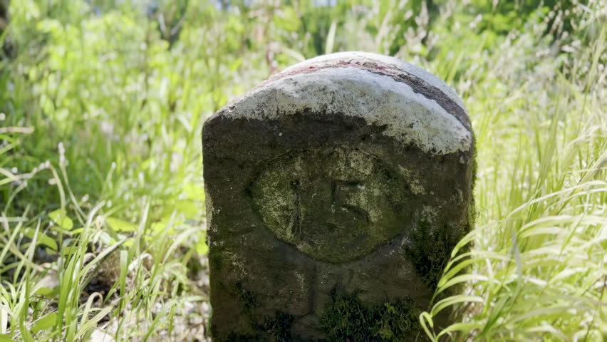 Weathered Milestone Marker Amid Lush Greenery and Overgrown Grass in Forested Area on a Sunny Day