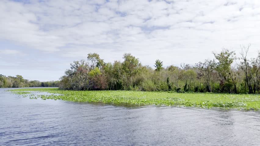 The tour on the spring and St. Johns river at Blue Springs State Park in Orange City, Florida.