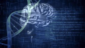 Animation of digital data processing, human brain over dna strand spinning. Global science, connections, computing and data processing concept digitally generated video. - Powered by Shutterstock - Get 15% off with code: PIKWIZARD15