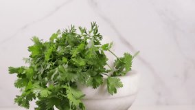 fresh cilantro in marble mortar cooking concept - Powered by Shutterstock - Get 15% off with code: PIKWIZARD15