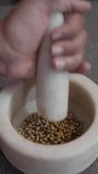 Dried Coriander Seeds Falling into Kitchen Mortar, cilantro coriander seeds with granite mortar, powder making of coriander seeds in a granite morta, - Powered by Shutterstock - Get 15% off with code: PIKWIZARD15