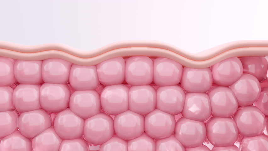 Retinol serum stimulates deep collagen synthesis, pushing up the skin matrix from within to lift and smooth wrinkles. For anti-aging booster ads. 3D animation