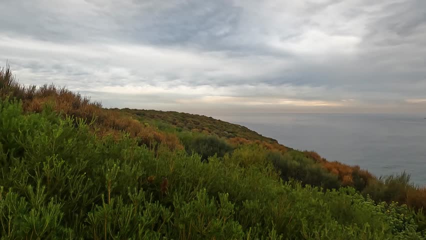 Palm Beach is a suburb in the Northern Beaches region of Greater Sydney, in the state of New South Wales, Australia. Pan footage travel nature view point in Sydney Australia 