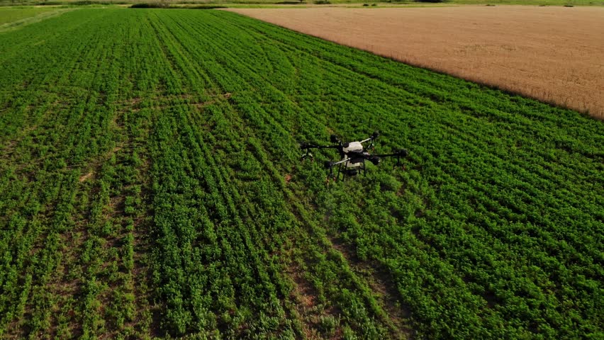 Modern technologies in agriculture. Industrial drone flies over a green field and sprays pesticides to increase productivity and destroys harmful insects. Technologies in farming. 4K Video.