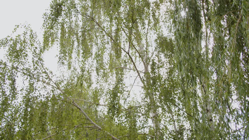 Pope John Paul II and Ronald Reagan statue. Gdansk, pomorskie, Poland, Ronald Reagan Park, 20.07.24