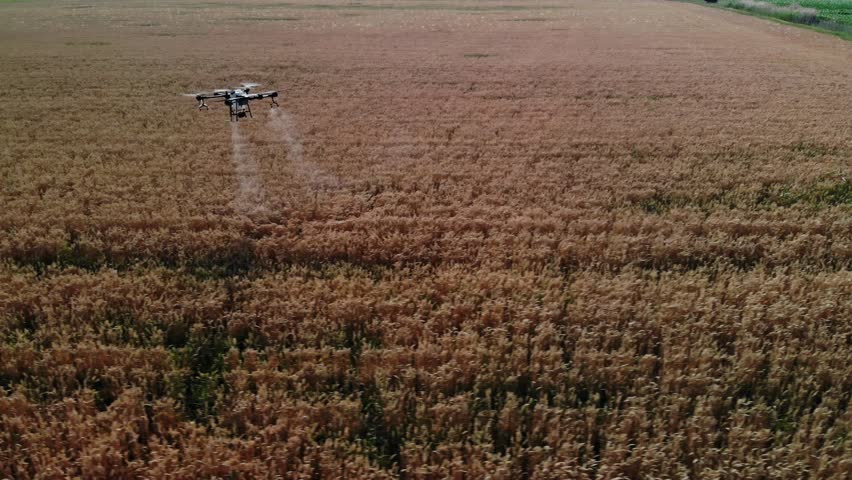 Modern technologies in agriculture. Industrial drone flies over a green field and sprays pesticides to increase productivity and destroys harmful insects. Technologies in farming. 4K Video.