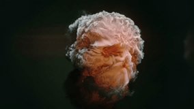 3d rendering animation of a skull formed by bright flames and billowing smoke. 3D Illustration - Powered by Shutterstock - Get 15% off with code: PIKWIZARD15