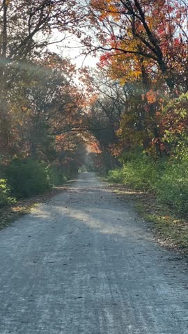 Walking or Hiking on a White Rock Path and Trail in the Fall with Autumn Leaves on Trees and Sunlight Rays 