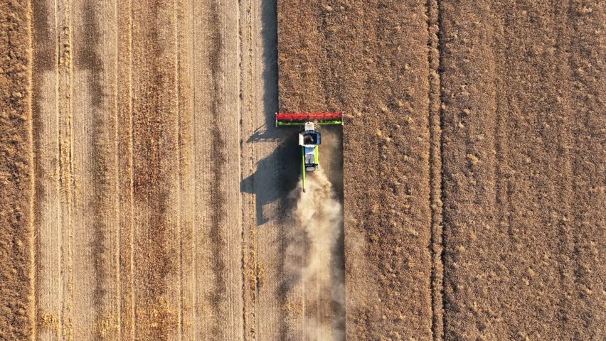 British Farming Aerial View A Combine Harvester Working in a Rapeseed Field
