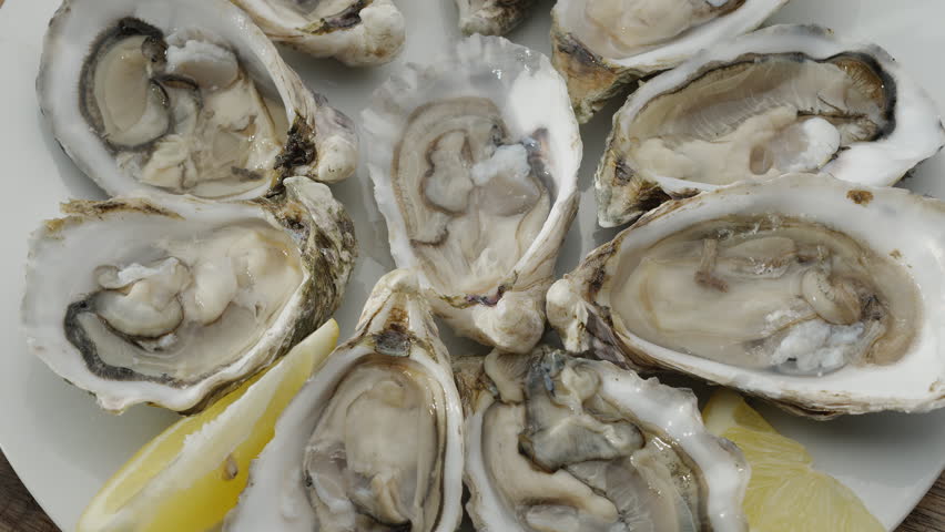 Fresh raw edible oysters, popular shellfish seafood close-up. Mollusk marine oysters.