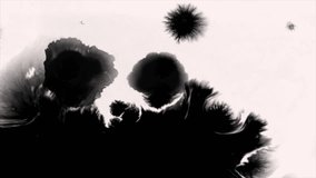 Black Ink drops transition with Alpha channel - Powered by Shutterstock - Get 15% off with code: PIKWIZARD15