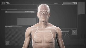 Animation of digital data processing over human body. Global science, connections, computing and data processing concept digitally generated video. - Powered by Shutterstock - Get 15% off with code: PIKWIZARD15