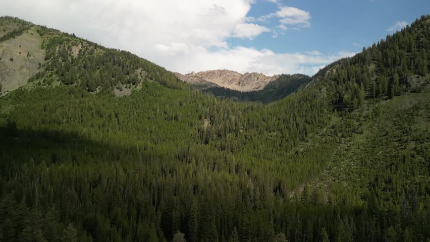 Aerial of pine tree covered mountains in Sawtooth National Forest near Sawtooth City Idaho