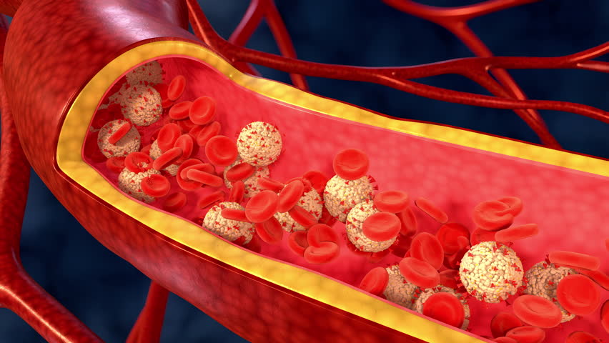The coronavirus and blood cells flow in the blood vessels. 3d render.
