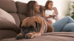 Boxer dog relaxing by mother and girl watching TV at home - Powered by Shutterstock - Get 15% off with code: PIKWIZARD15