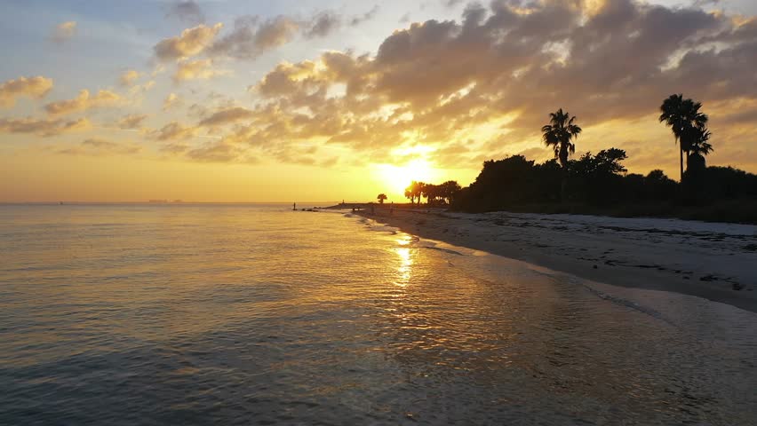 A beautiful golden sunset over a tranquil Florida beach, with waves gently lapping at the shore and palm trees silhouetted against the sky.