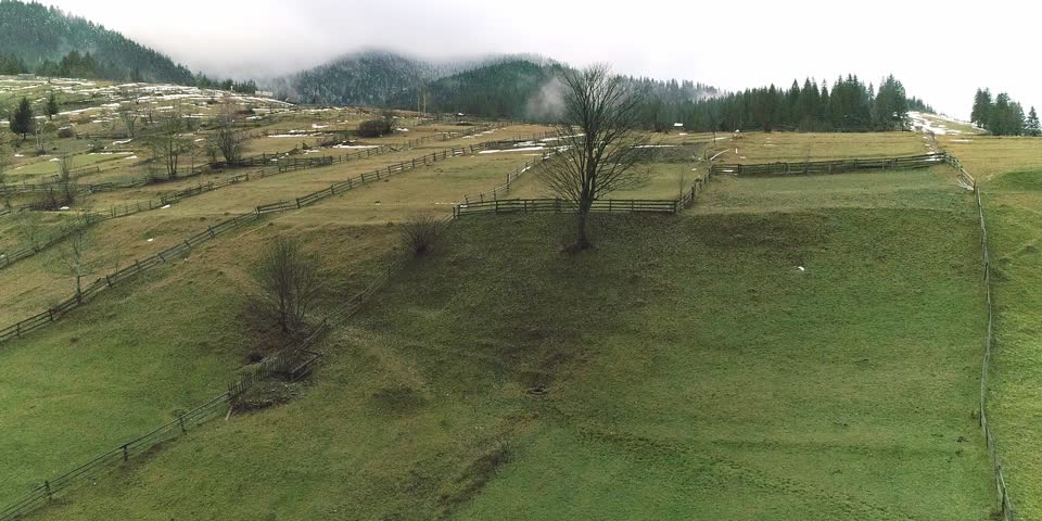 Early spring green village fields with wood fences, early spring and green village, fields wood fences, rural landscape, scenic countryside, picturesque and fresh natural beauty