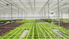 Drone shot of high tech agricultural greenhouse controlled by automatized technology parameters, AR visualization. AR hologram statistics over certified organic eco friendly farm. 3D Illustration - Powered by Shutterstock - Get 15% off with code: PIKWIZARD15