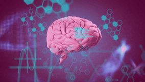 Animation of data processing over brain and chemical formula. Science, technology and digital interface concept digitally generated video. - Powered by Shutterstock - Get 15% off with code: PIKWIZARD15
