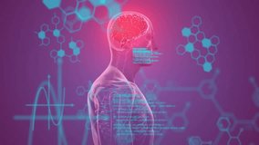 Animation of data processing over digital human and chemical formula. Science, technology and digital interface concept digitally generated video. - Powered by Shutterstock - Get 15% off with code: PIKWIZARD15