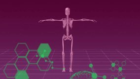 Animation of data processing over brain and skeleton. Science, technology and digital interface concept digitally generated video. - Powered by Shutterstock - Get 15% off with code: PIKWIZARD15