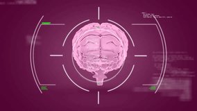 Animation of data processing over brain and scope scanning. Science, technology and digital interface concept digitally generated video. - Powered by Shutterstock - Get 15% off with code: PIKWIZARD15